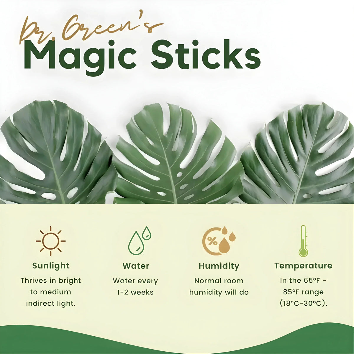 Dr.Green's - Magic Plant Sticks