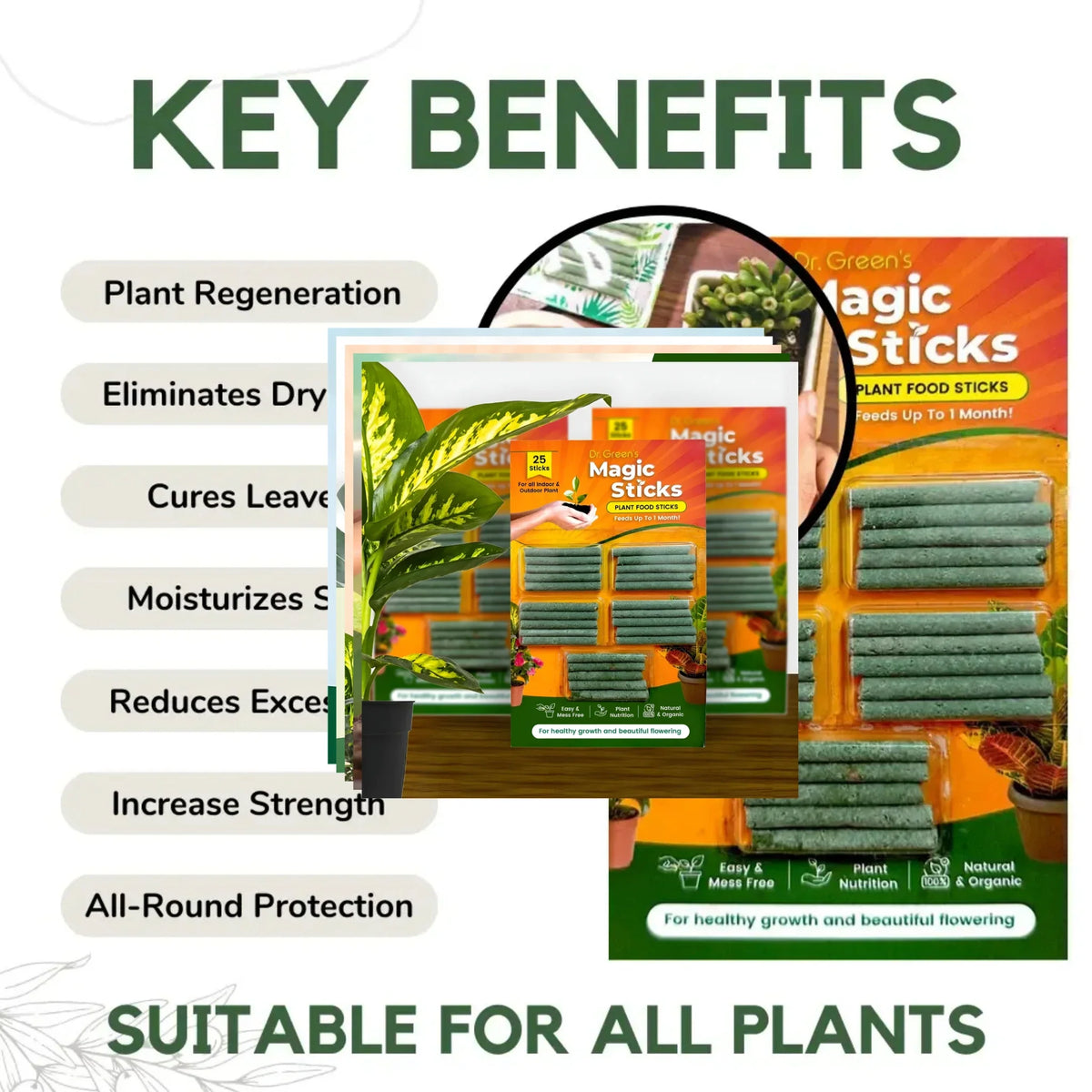Dr.Green's - Magic Plant Sticks
